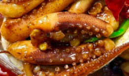 鱿鱼视频,揭秘现实与虚拟的生存挑战